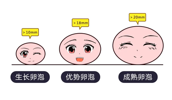 三代试管助孕机构卵泡长得好不好怎么样分辨